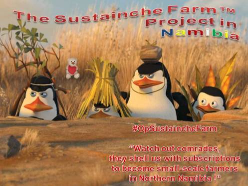 Sustainche’s Farm Project Poster #OpSustaincheFarm Madagascar