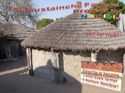 Sustainche’s Farm Project_Poster_Farm House